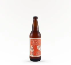 Epic Brainless On Peaches - Fruit Beer