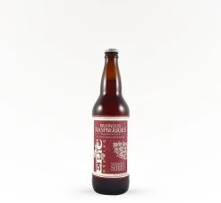 Epic Brainless On Raspberries - Fruit Beer
